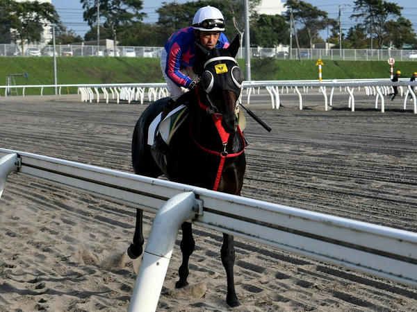 第4レースの返し馬