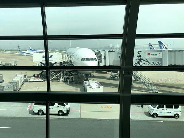 羽田空港に駐機中の新千歳空港行きANA061便