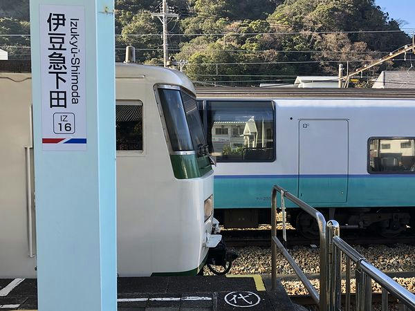 先頭の10号車（背後は来る時乗ってきたスーパービュー踊り子）