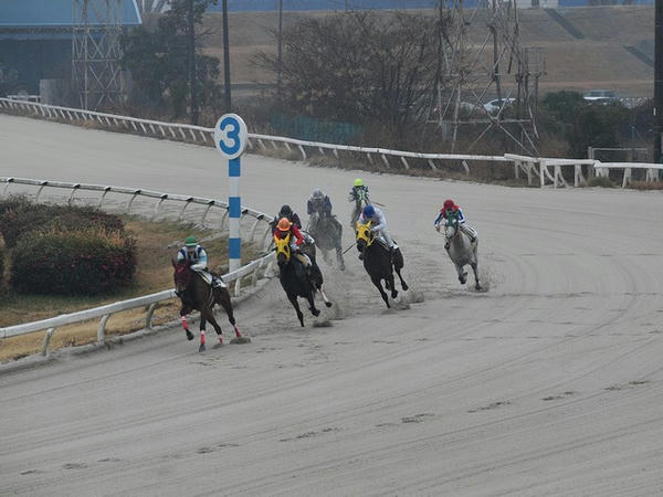 第1レースの最終コーナー（自席から望遠レンズで撮影）