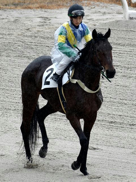 第3レースの馬場入りする関本騎手