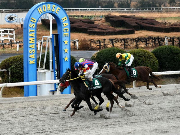 笠松競馬場訪問記 【令和2年1月23日・第44回ゴールドジュニア(東海地区