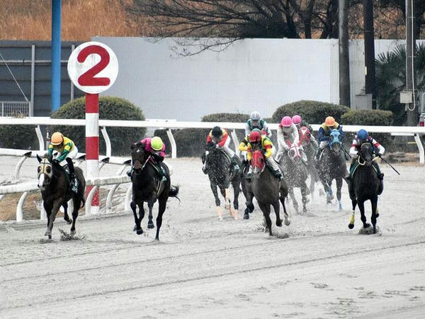 レース中の様子