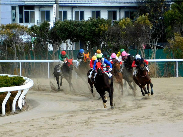 第6レースの最終コーナー