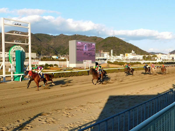 第11レースのゴール