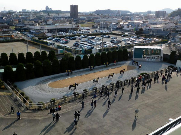 第10レースのパドック