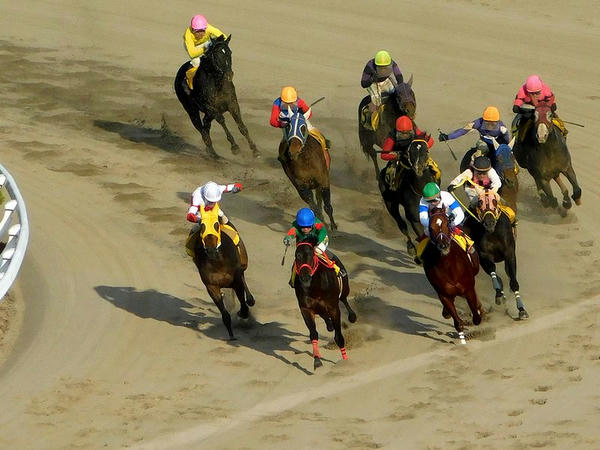 第10レースの最終コーナー