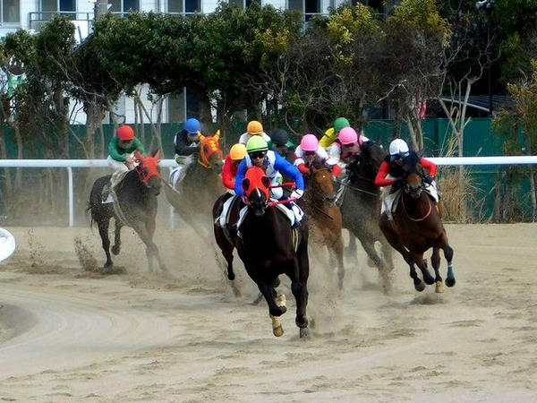 最終コーナーを回る競走馬