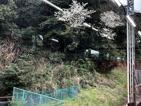 馬堀海岸駅－浦賀駅間