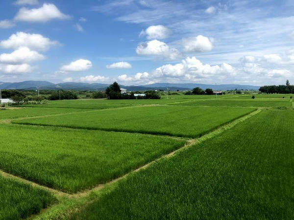 のの岳駅－陸前豊里駅間