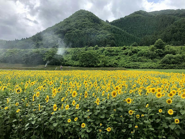 足ヶ瀬駅－平倉駅間
