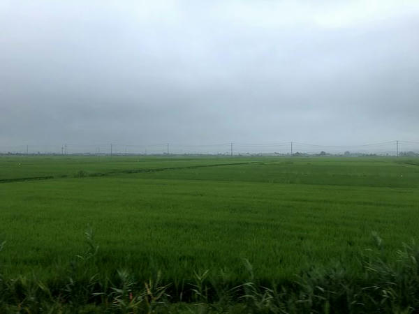 小牛田駅－上涌谷駅間