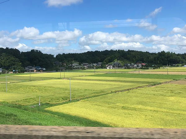 空港第2ビル駅－成田駅間