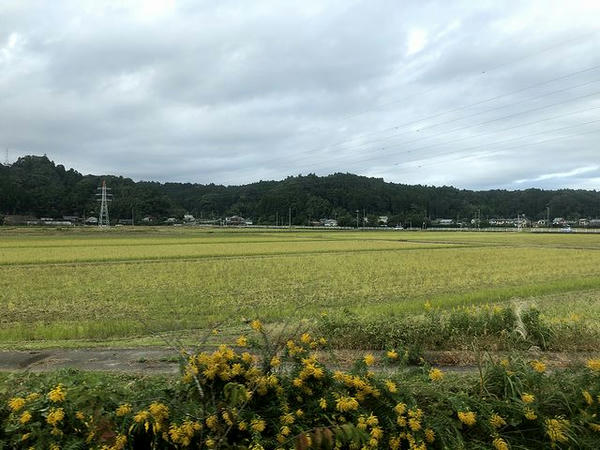 西大原駅－上総東駅間