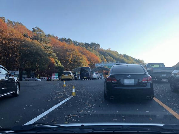 南ゲートで待機する入場車