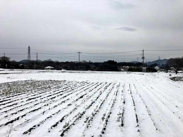 下野大沢駅－文挟駅間