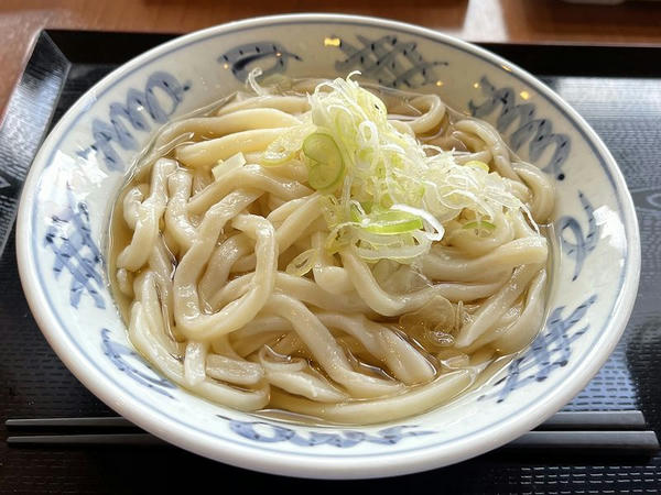 冷かけ（大） 485円