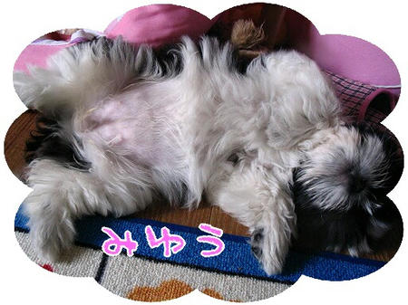 miyuu-01-03-1.jpg