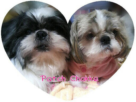 patch-chakke-01-03-1.jpg