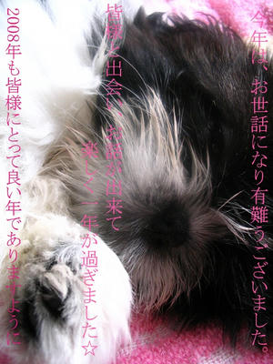2007-myu-12-29.jpg