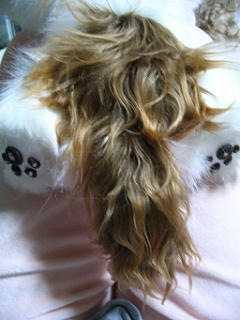 handmade-shihtzu10-31-2.jpg