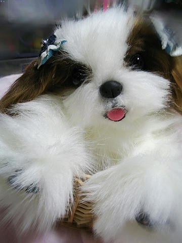 handmade-shihtzu10-31-3.jpg