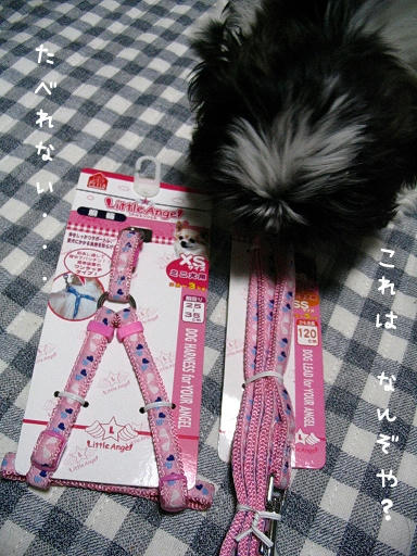 miyuu-12-22-1.jpg