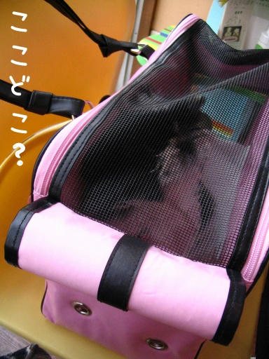 miyuu-12-17-1.jpg