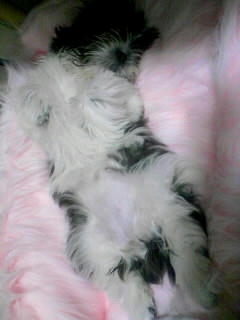 080129_125926.JPG