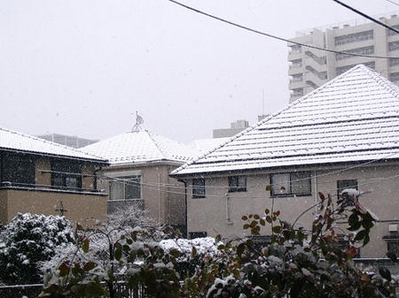 yuki-02-03-1.jpg