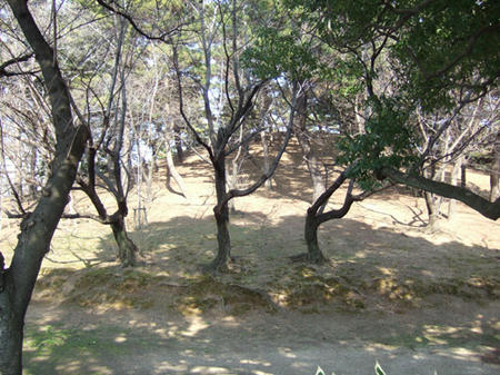 hatimanyama2.jpg