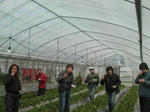 SANY0119.JPG