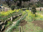 DSCF0388.JPG