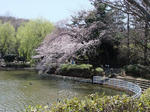 DSCF0396.JPG