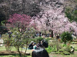 DSCF0410.JPG