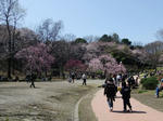 DSCF0420.JPG