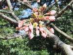 DSCF0450.JPG
