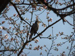 DSCF0455.JPG