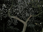 DSCN2398.JPG