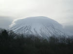 DSCN2408.JPG