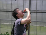 DSCN4442.jpg
