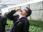 DSCN4450.jpg