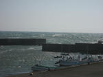 IMG_0180.jpg