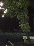 PA0_0231.JPG