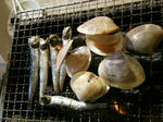 DSCN5625.jpg