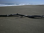 DSCN5812.jpg