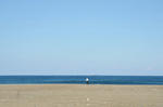 DSC_3287.jpg