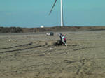 SANY0338.jpg