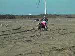 SANY0339.jpg