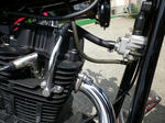 IMGP6210.jpg
